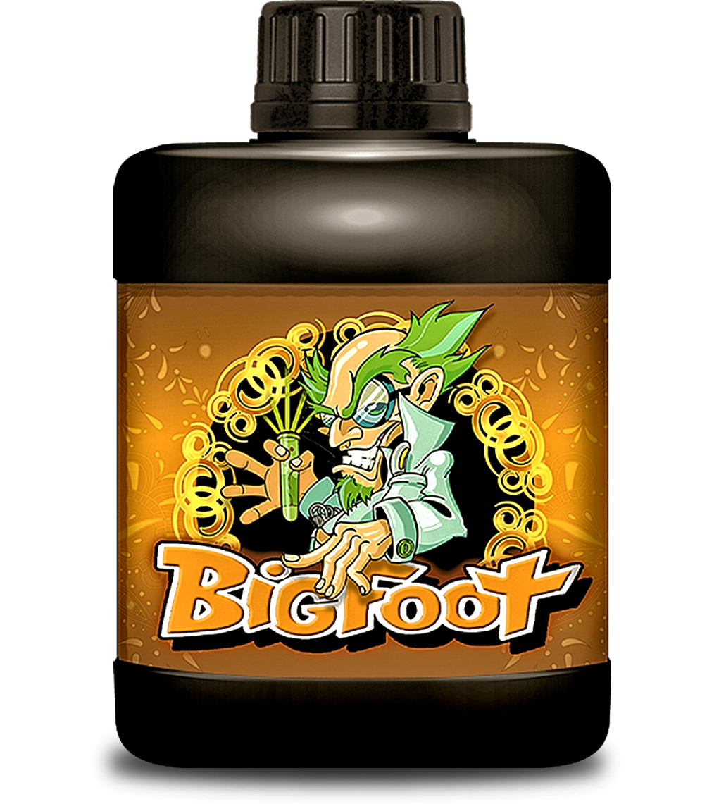 BigFoot