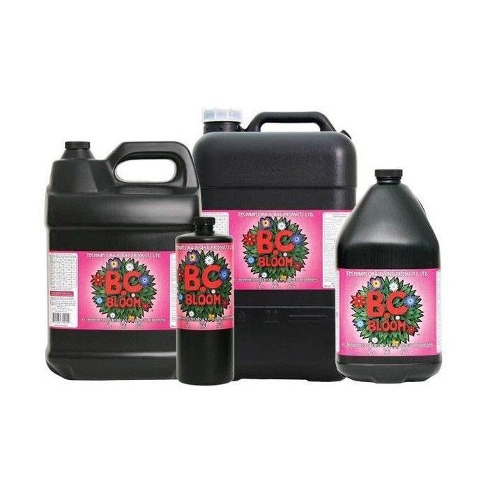 B.C. Bloom™