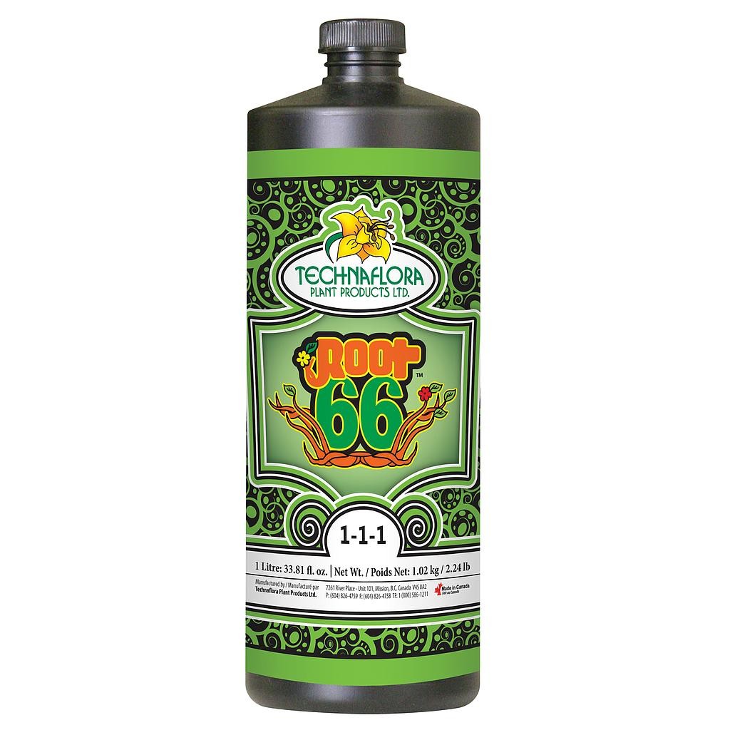 Root 66