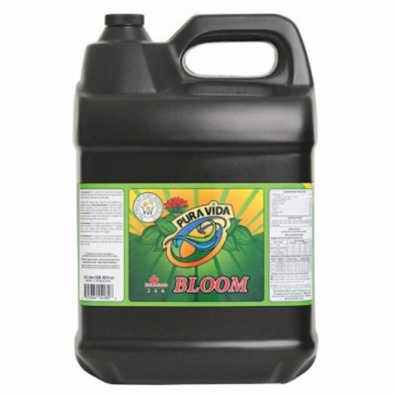Pura Vida Bloom