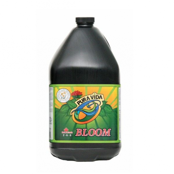 Pura Vida Bloom