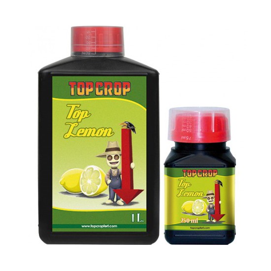 Top Lemon