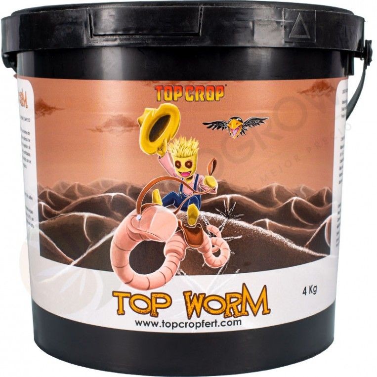 TOP WORM