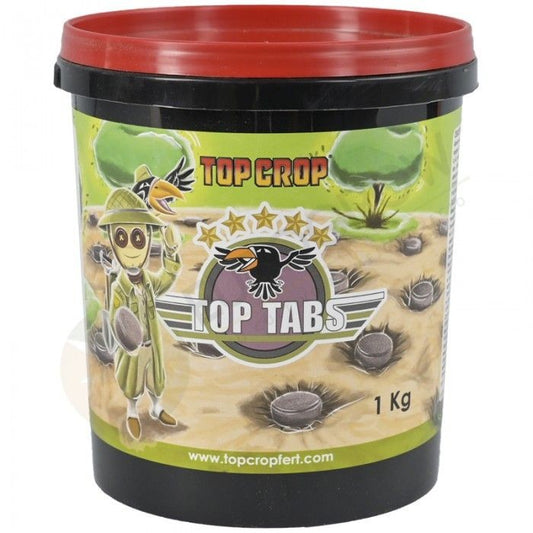 Top Tabs