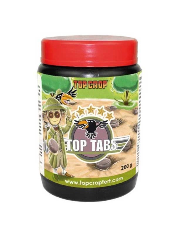 Top Tabs