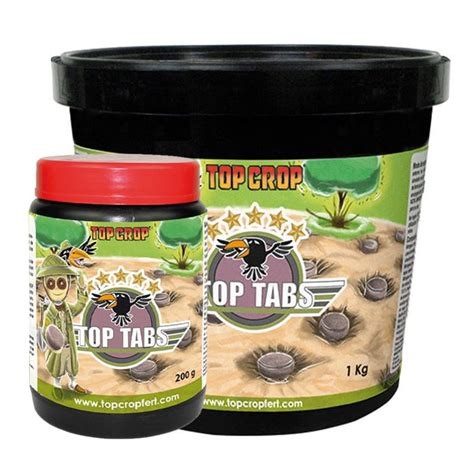 Top Tabs