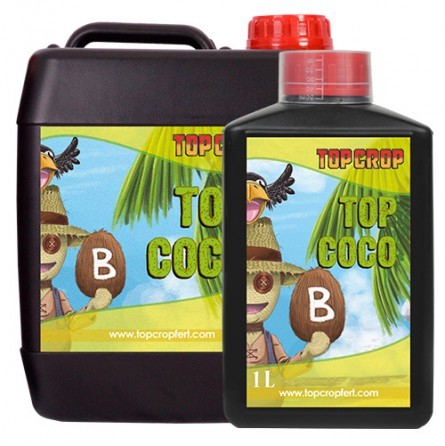 Top Coco B
