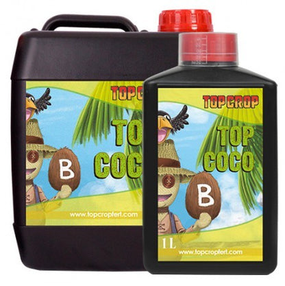 Top Coco B