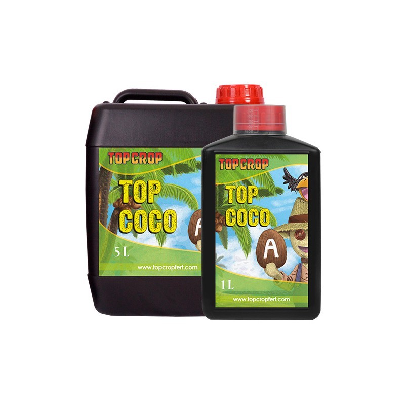 Top Coco A