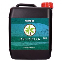 Top Coco A