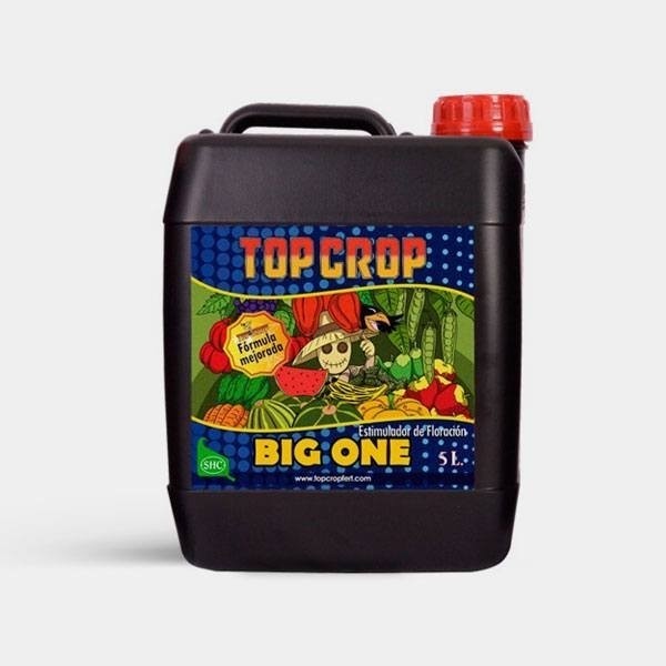 Big One