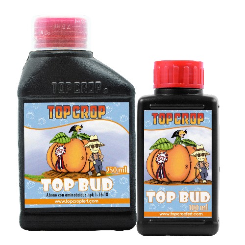 Top Bud