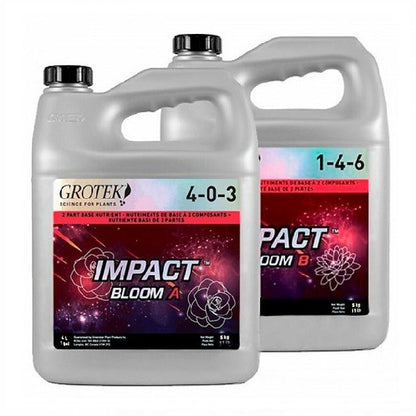 Impact Bloom A+B
