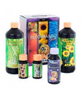 ATA Terra Bloombastic Box Atami