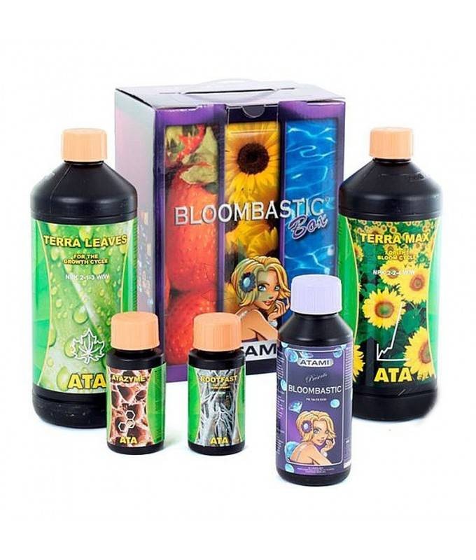 ATA Terra Bloombastic Box Atami