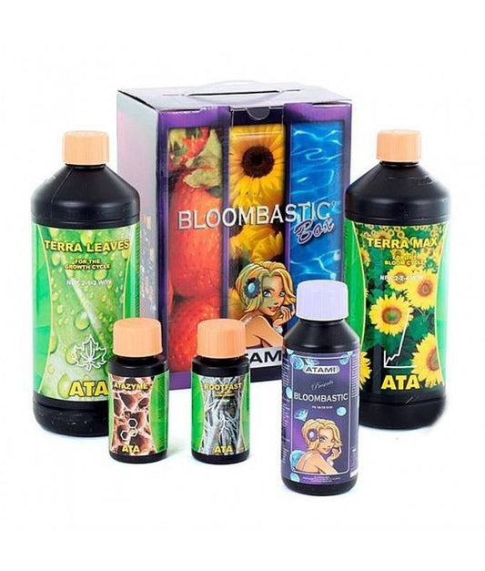 ATA Terra Bloombastic Box Atami