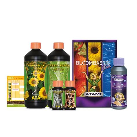 ATA Terra Bloombastic Box Atami