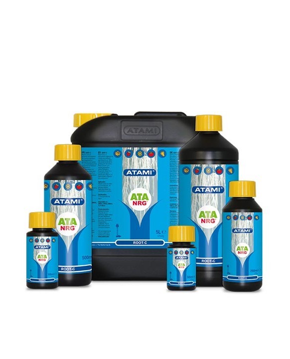 ATA NRG Root-C