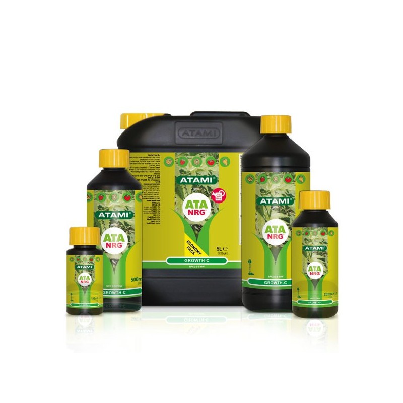ATA NRG Growth C