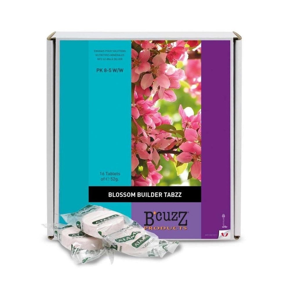 B'Cuzz Blossom Builder Tabzz (16 uds)