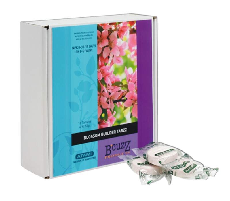 B'Cuzz Blossom Builder Tabzz (16 uds)