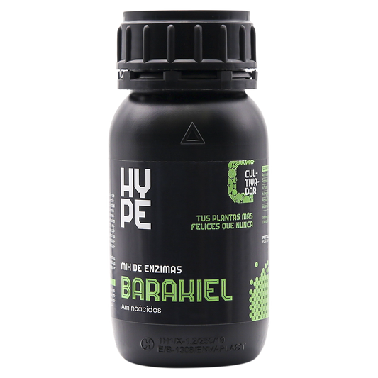 Barakiel
