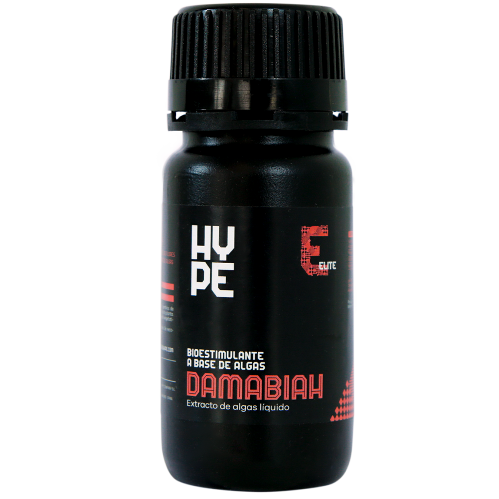 Damabiah