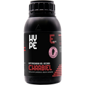 Charbiel