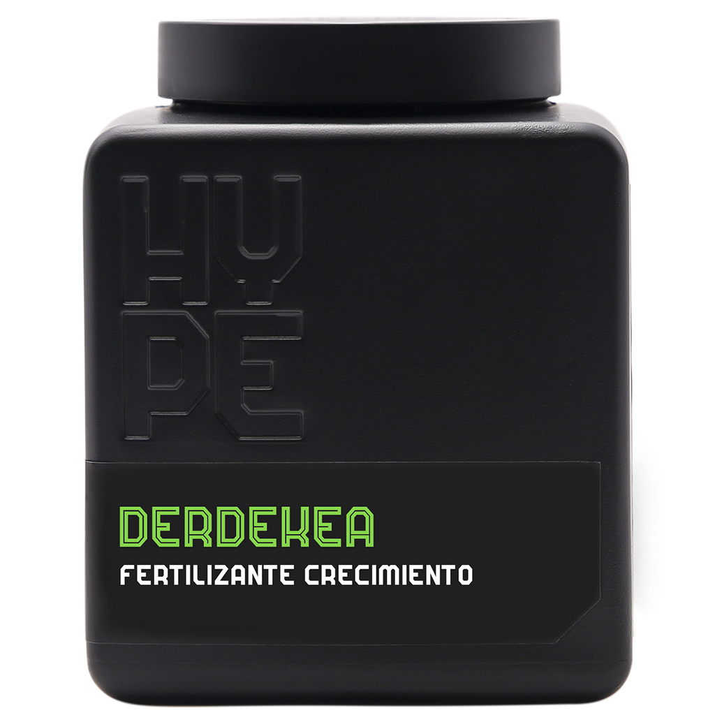 Derdekea