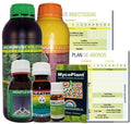 Kit Evolution Protection Trabe