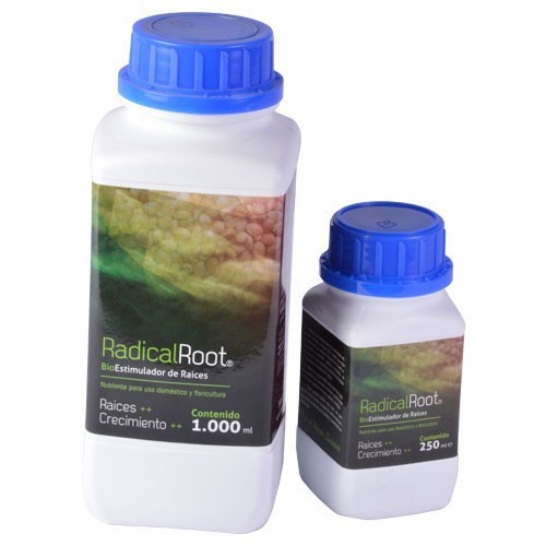Radical Root  Trabe