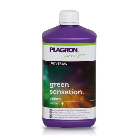 Green Sensation Plagron