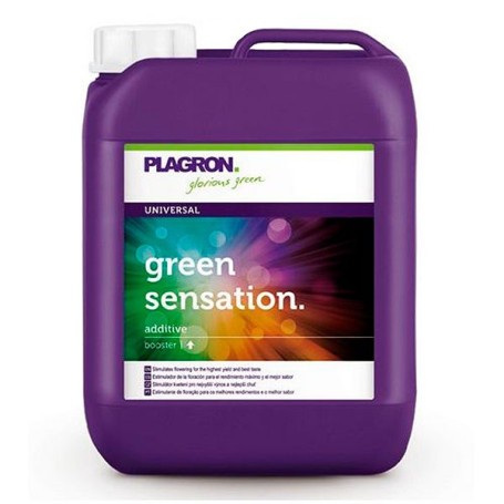 Green Sensation Plagron