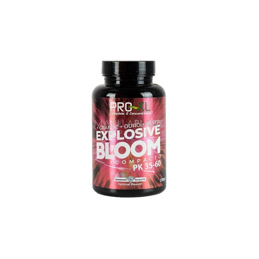 Explosive Bloom