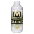 Miner Calcio