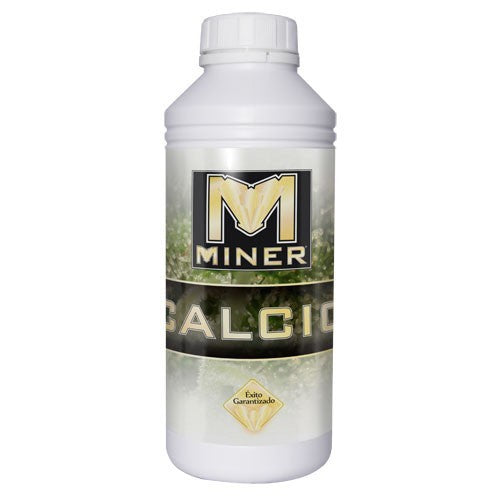 Miner Calcio