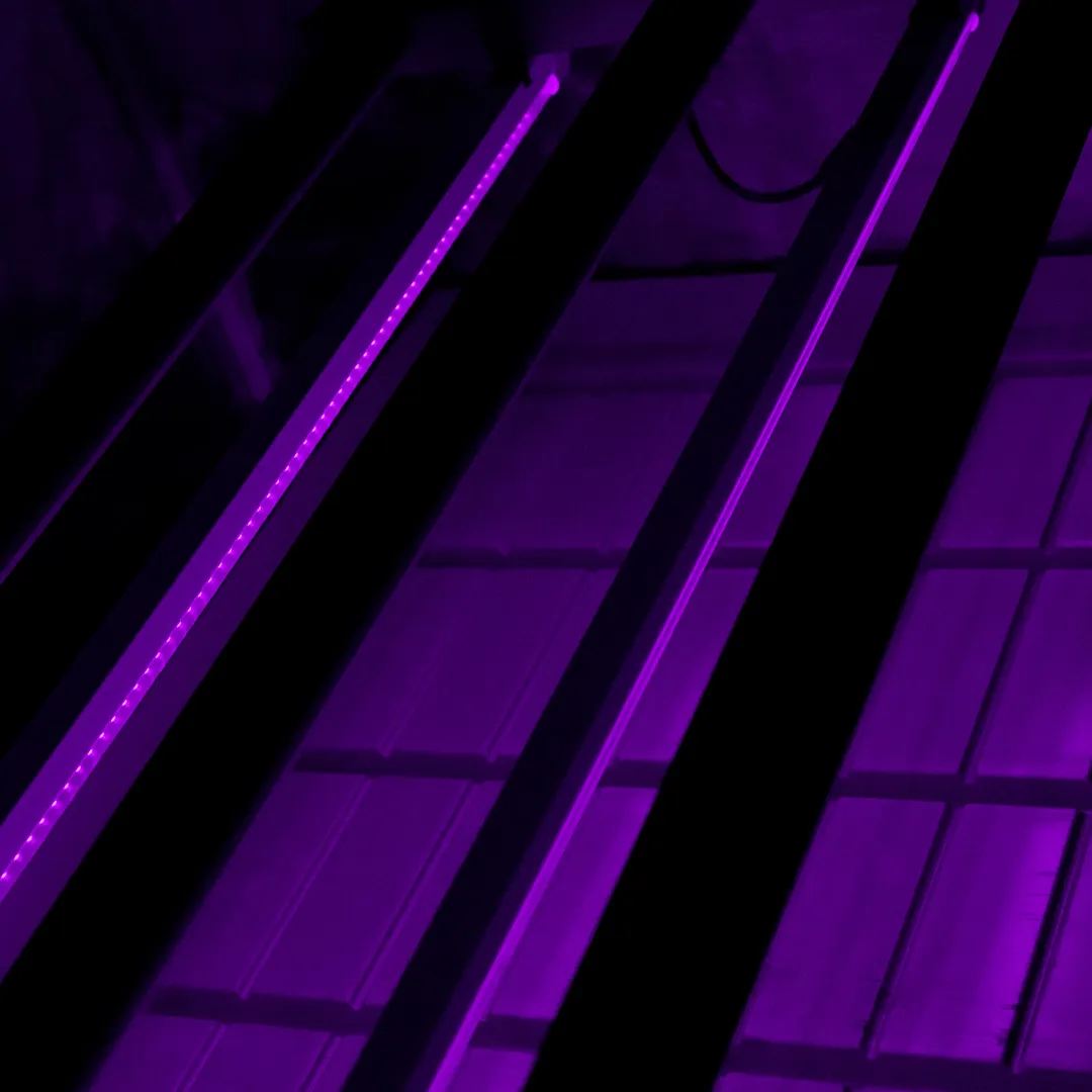 UV Twins 2x22W Agrolite