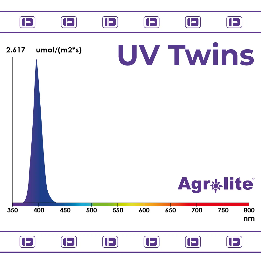 UV Twins 2x22W Agrolite