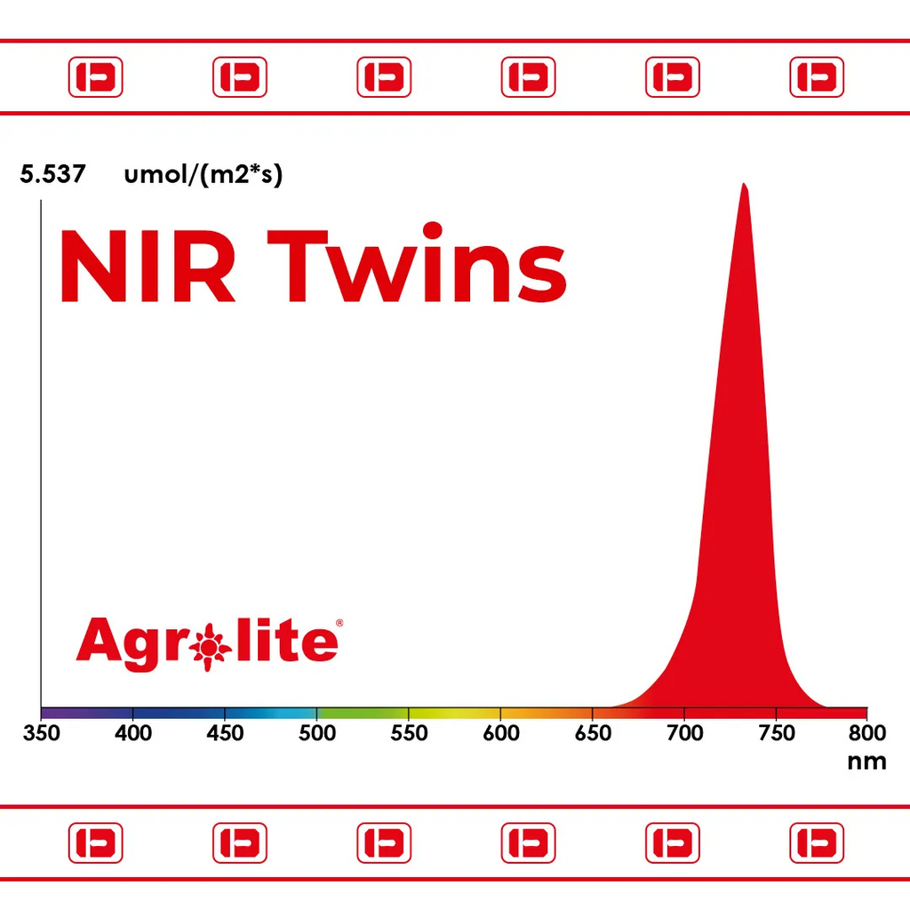 NIR Twins 2x22W Agrolite