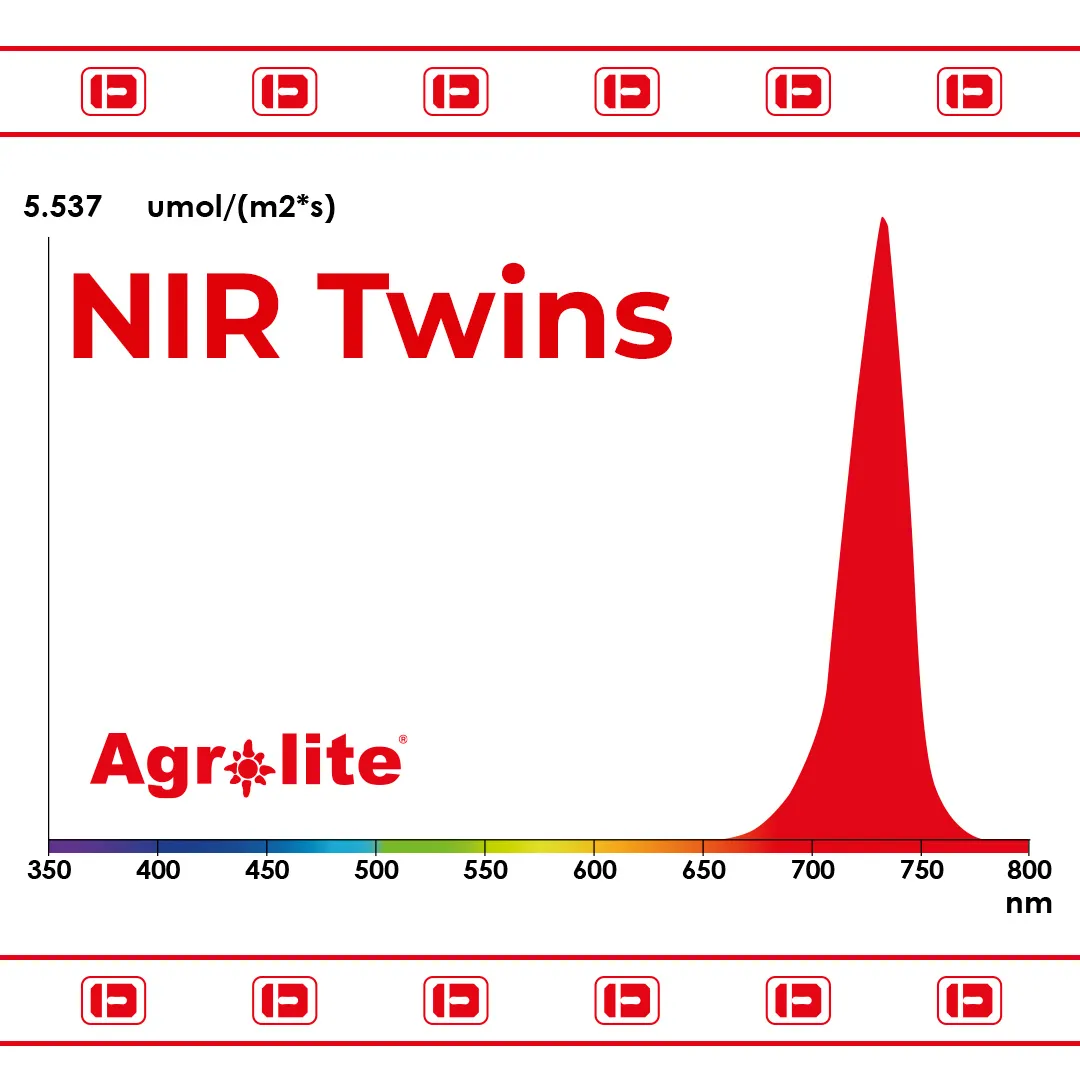 NIR Twins 2x22W Agrolite