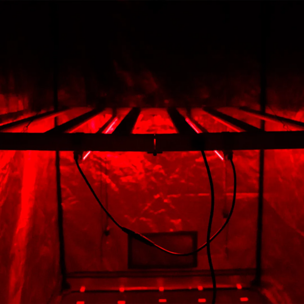 NIR Twins 2x22W Agrolite