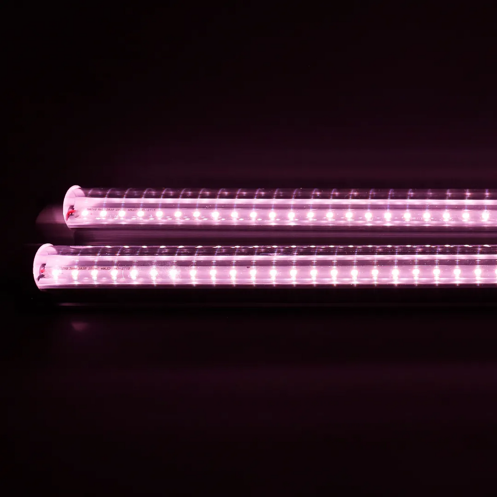 LED 2 x CB10W 4000K 60cm Agrolite