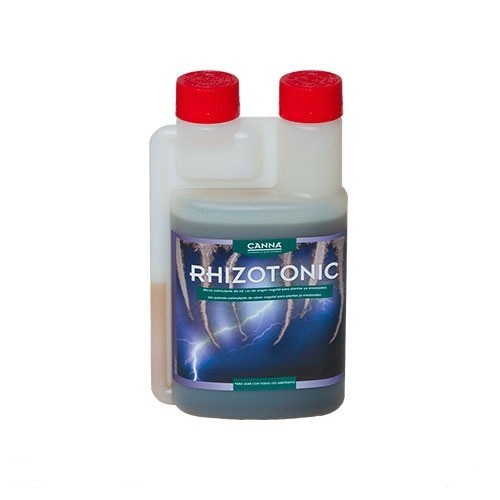 Rhizotonic Canna
