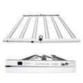 Litha XL 730 3.0 BID Hortilight