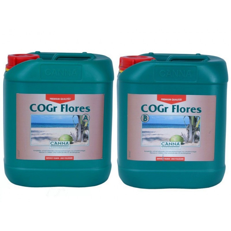 Canna Cogr Flores A+B