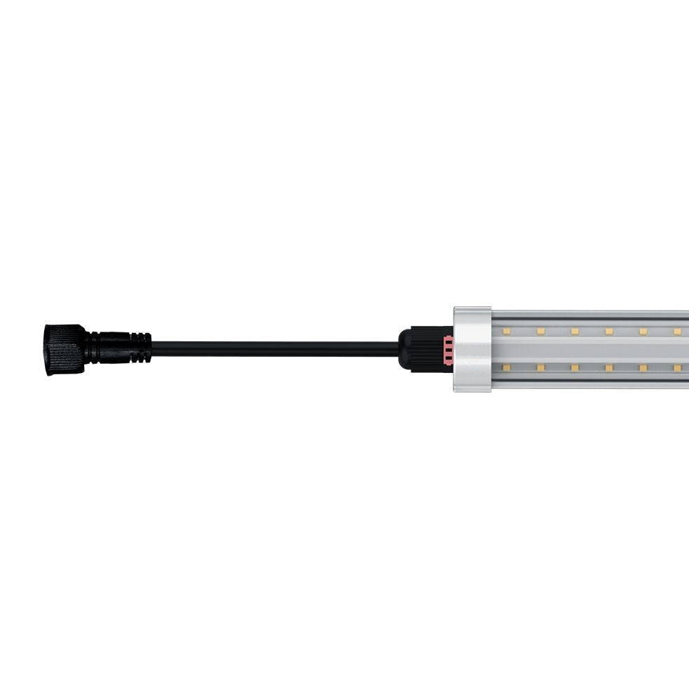 Clone Leds Platinum