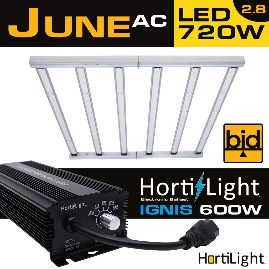June AC 720 BID Hortilight con Ballast