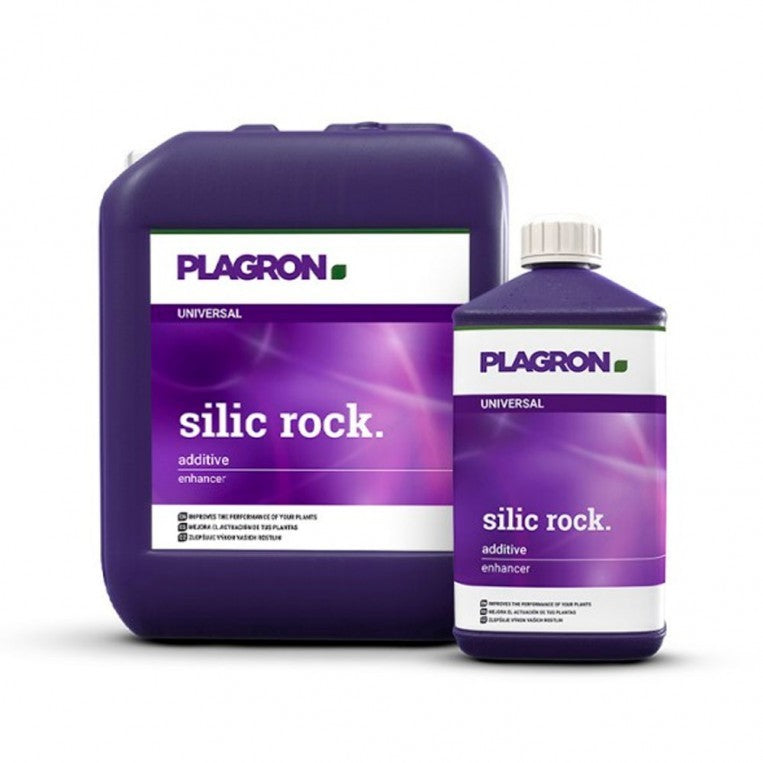 Silic Rock Plagron