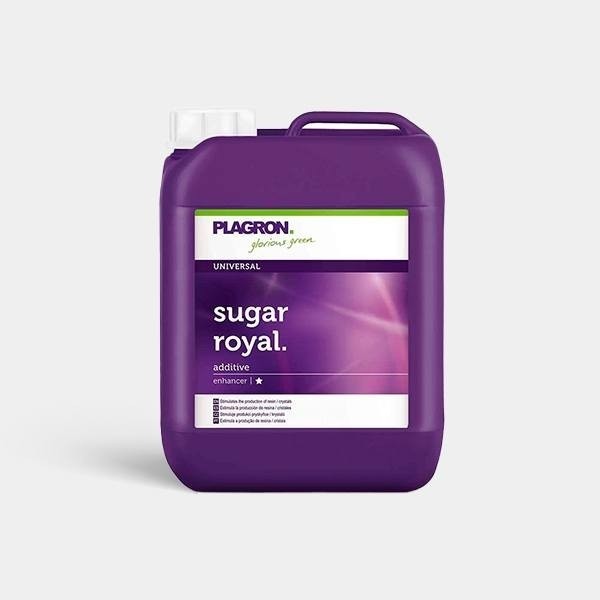 Sugar Royal Plagron