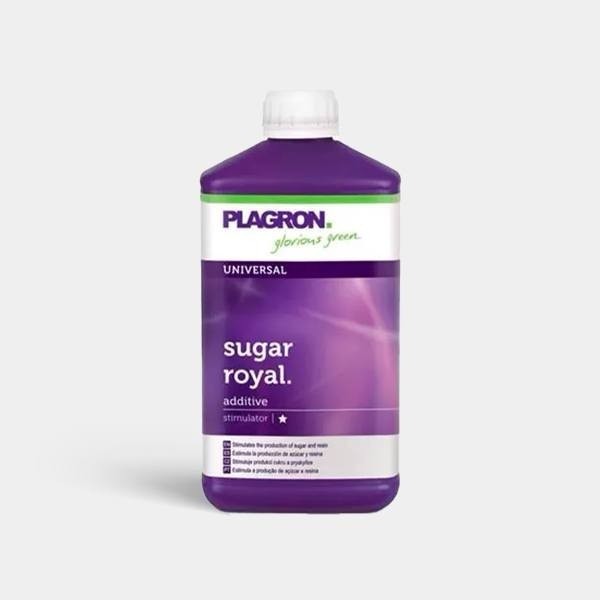Sugar Royal Plagron